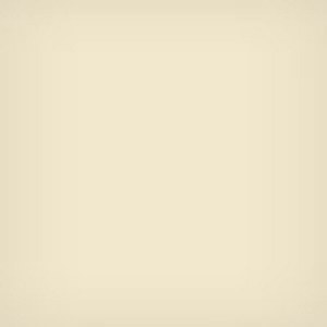  Lee Filters 3x3" 81B Color Conversion Polyester Filter 