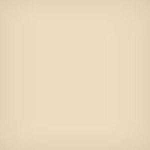  Lee Filters 4x4" 81C Color Conversion Polyester Filter 