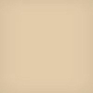  Lee Filters 3x3" 81D Color Conversion Polyester Filter 