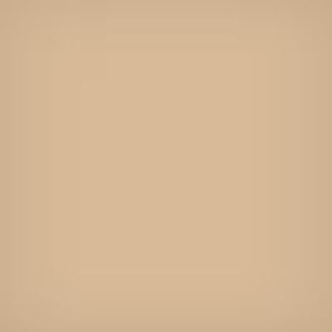  Lee Filters 3x3" 81EF Color Conversion Polyester Filter 