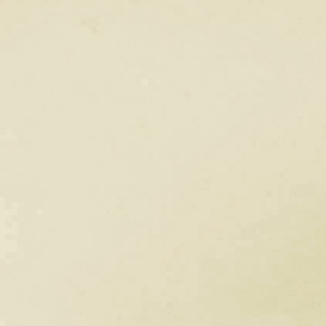  Lee Filters Sepia 3 Filter (3 Stop) 4x4" Resin 