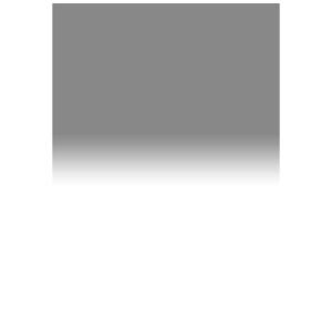  Lee Filters 0.45 Graduated Neutral Density Filter, 150x170mm Resin for SW150 Holder, Soft Edge 