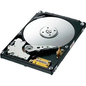  Lexmark 160+ GB Internal Hard Disk 