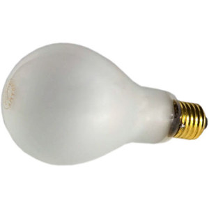  Interfit Photographic 500 watt, Tungsten Photoflood Bulb for the Stellar Continuous Output Tungsten Heads (ECT) 