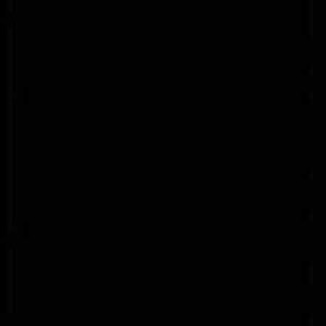  Interfit Photographic Master Muslin Cloth Background, Black, Small, 2.4 m x 2.7 m (8x9') 