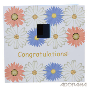 Pandigital Digital 1.4 inch Photo Greeting Card,Co: Picture 1 regular