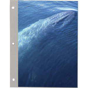 Pioneer SRF1200 Deluxe Magnetic Refill Pages: Picture 1 regular