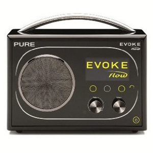 Pure Digital Technologies Evoke Flow Portable Internet and FM Radio VL-61416