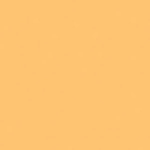 Rosco Roscolux Straw Tint, 20x24 Color Effects Filter: Picture 1 regular