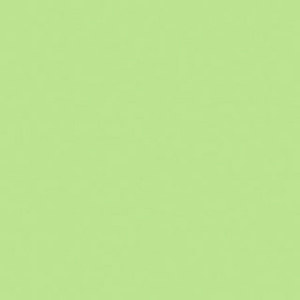 Rosco RS330412 Cegel Tough Plusgreen, 20x24 Correction: Picture 1 regular