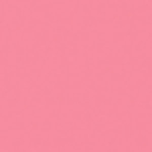 Rosco 34 Roscolux Flesh Pink, 20x24 Color Filter: Picture 1 regular