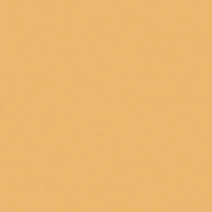 Rosco RS340111 Cegel Roscosun 85, 20x24 Filter: Picture 1 regular