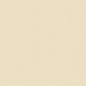  Rosco Cinegel #3409 Sun 1/4 CTO Filter, 48"x25' Roll 