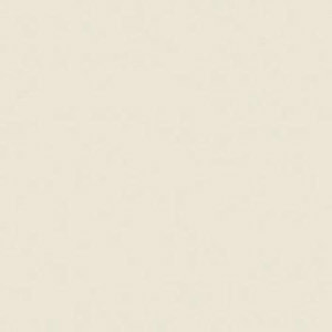  Rosco Cinegel #3410 Sun 1/8 CTO Filter, 48"x25' Roll 