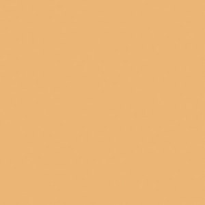  Rosco Sun Cinegal 3/4 CTO Filter, 24"x25' Roll 