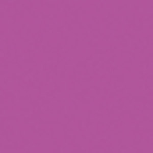 Rosco 349 Roscolux Fisher Fuchsia, 20x24 Color Effects: Picture 1 regular