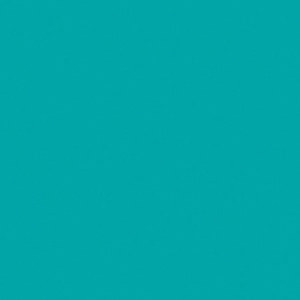  Rosco Roscolux #374 Sea Green Filter, 24"X25' Roll 