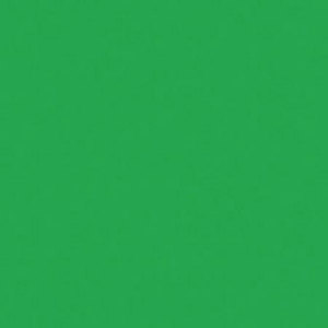  Rosco Cinelux #89 Moss Green Filter, 48"x25' Roll 