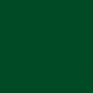 Rosco 90 Roscolux Dark Yellow Green,20x24 Color Effects: Picture 1 regular