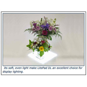 Rosco 3 x 3 inches LitePad Daylight DL, 60,000 Hours: Picture 1 regular
