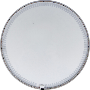 Rosco LitePad HO + Daylight (5800K) 12