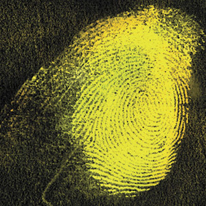  Safariland TapeGlo, 500ml 