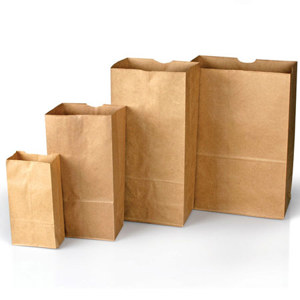  Safariland Plain Paper Evidence Bags, Style 12, Bundle of 100 