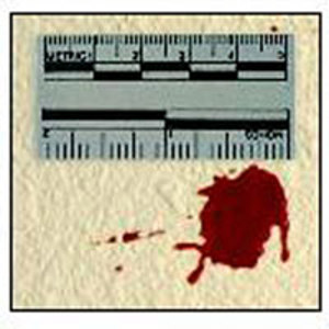 Safariland Adhesive 2" (50mm) Photo Evidence Scales 6-3850