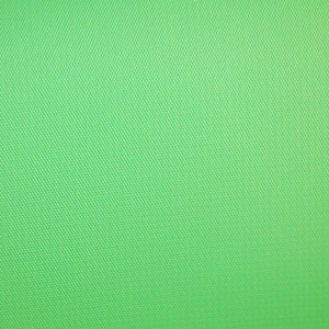  Savage 8x10' Matte Finish Chroma Green Infinity Series Vinyl Background 