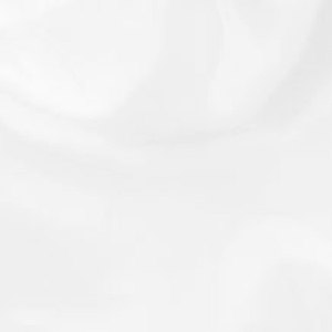  Savage Infinity Series 10x Infinity 10' Lint Free ProCloth Cotton Background, Style; ProWhite, Color: Solid White 