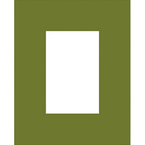 Savage 6002283 ProMatte 8x10in Photo Mat, Zucchini: Picture 1 regular
