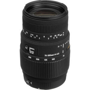  Sigma 70-300mm f/4-5.6 DG Macro Tele Zoom Lens for Canon EOS Cameras - USA Warranty 