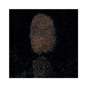  Sirchie Copper Metallic "Hi-Fi" Volcano Latent Print Powder, 8oz 