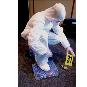  Sirchie Transparent Plastic Stepping Plates Kit, 16 Standard Plates 