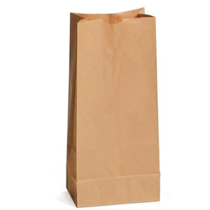  Sirchie Blank Kraft Evidence Bag, 8x5x18", Set of 100 