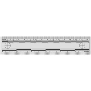  Sirchie Photo Evidence Scales, 6", Gray with Black Printing, Set of 10 