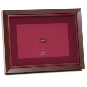 Swing Milo Frame FRMILBD4600SSSW