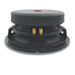 Technical Pro Z10.1 10" Raw Subwoofer Z10.1
