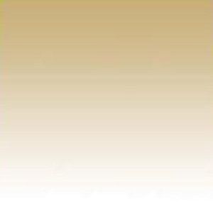  Tiffen 4x4 Color Graduated Antique Suede Special Effects #2 Hard Edge Glass Filter 