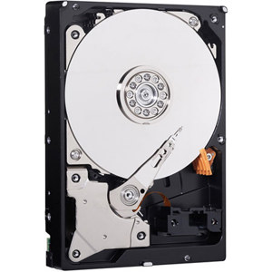 Western Digital WD Caviar Blue 160GB 3.5" Internal Hard Drive WD1600AAJB