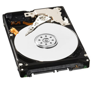 Western Digital AV-25 320GB 2.5