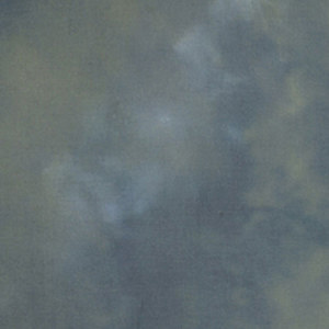  Westcott Masterpiece Muslin Sheet Background, 10' x 24', Gentian Blue 