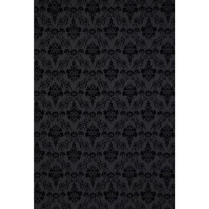  Westcott 5x7' Onyx X-Drop Backdrop 