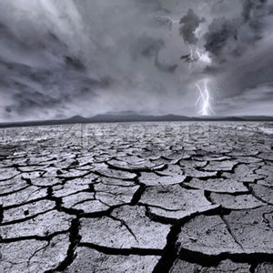  Westcott Photo Basics 6' x 8' "Chaos", Dry Lake Scenic in Black & White Cotton Muslin Background #943 