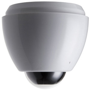 Y-cam EyeBall Dome IP Camera: Picture 1 regular