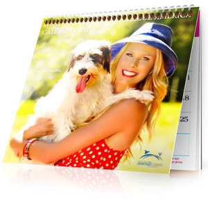 2012 Animal League Calendar with Adoptable Pets, Photos by Howard Stern: Picture 1 regular