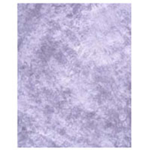 Studio Dynamics Designer Series 12' x 12' Muslin Background, Spring Pearl.: Picture 1 regular