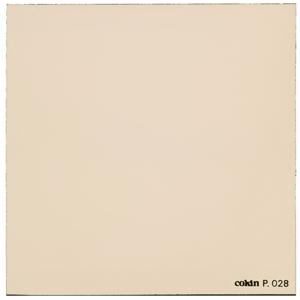  Cokin Series P Warming Filter 81C 