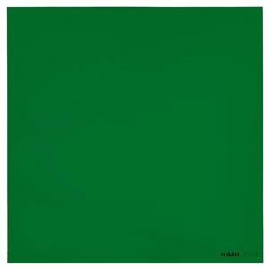  Cokin Z-Pro Series Green Filter, 4x4" / 100x100mm 