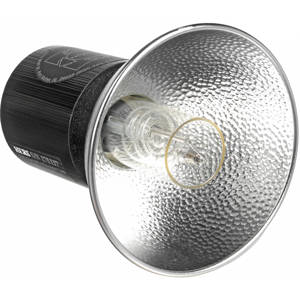  Lumedyne Next Generation Series 800ws UV Flash Head with a Straight 5' Head Cable 